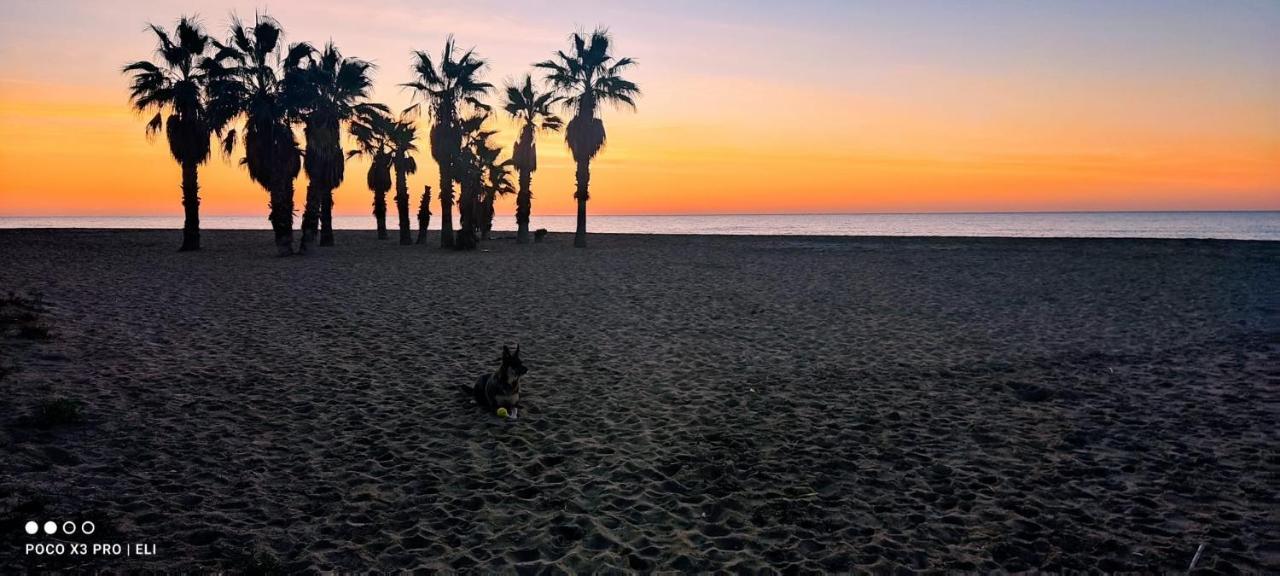 Encantador Apto En La Playa Комарруга Экстерьер фото