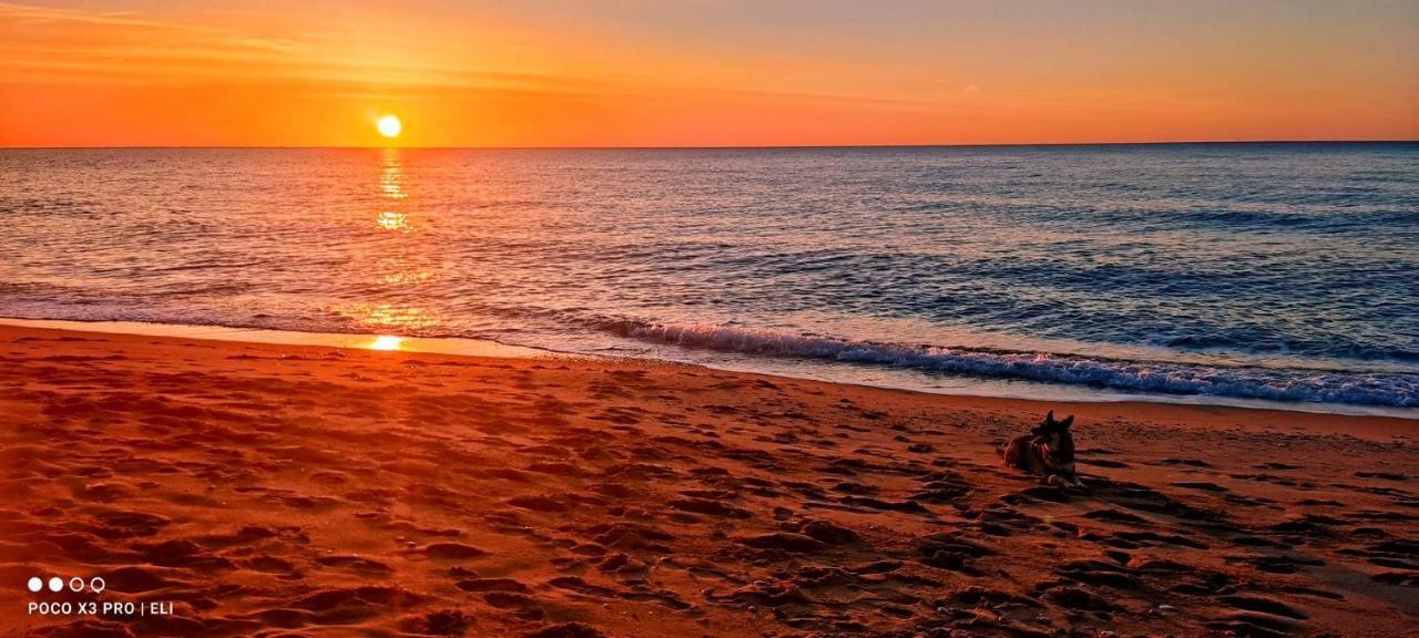 Encantador Apto En La Playa Комарруга Экстерьер фото